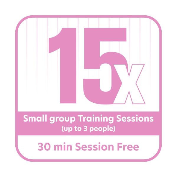 15X Small group Training Sessions